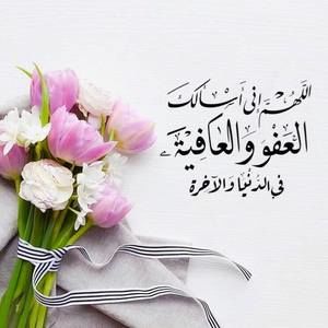 Meet your Posher, Majda